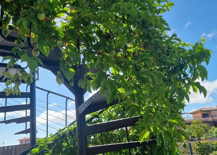 Nyaraló Casa Azul *